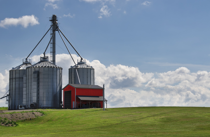 Agricultural Chemicals